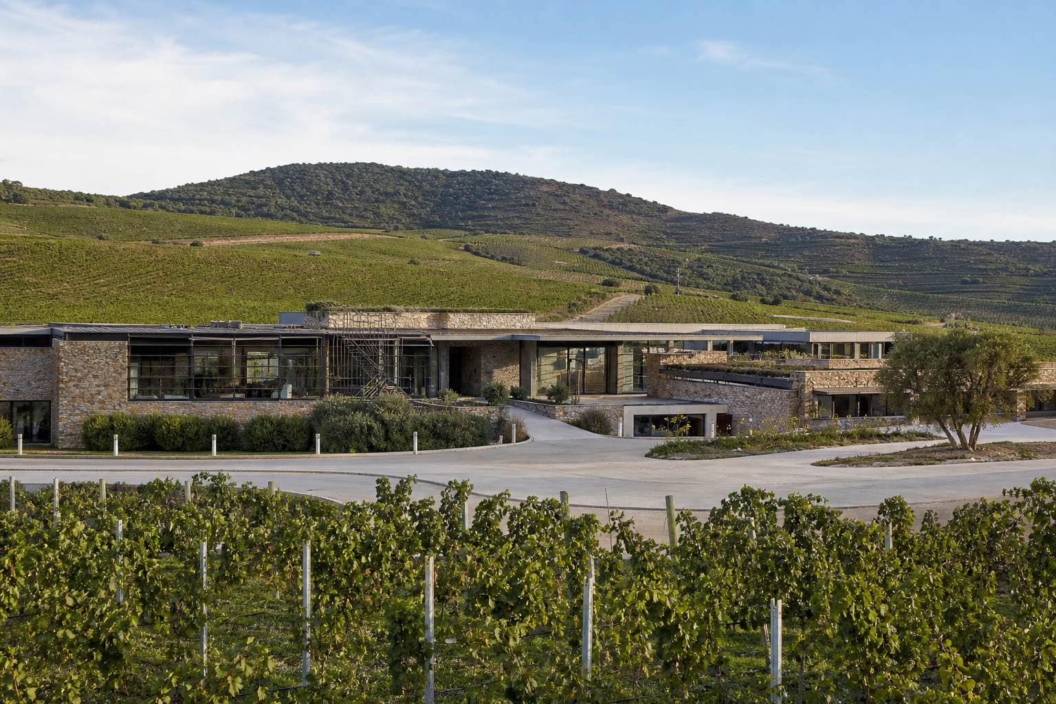 Arquitectura moderna de Bodega Garzón